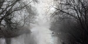 Phot of a river with overhanging trees on a misty winter's morning
