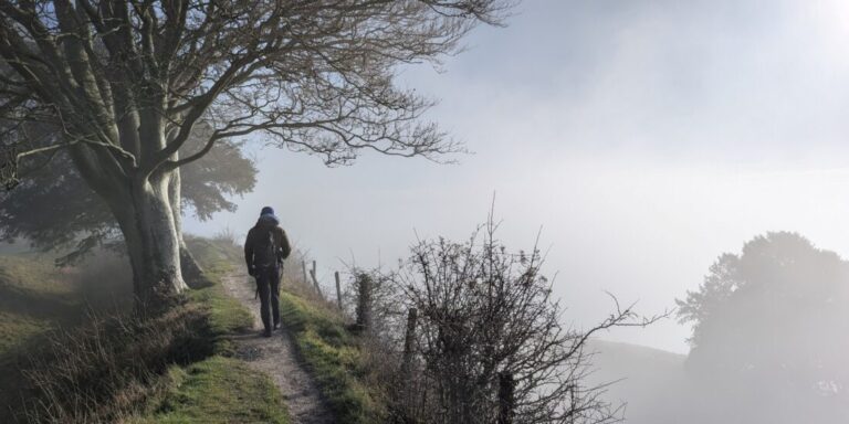 A lone figure walks along a ridge next to a tree. The sun is shining but there is mist on the ground.