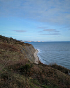 A view of the Dorset coast in winter with the blue sea to the right.