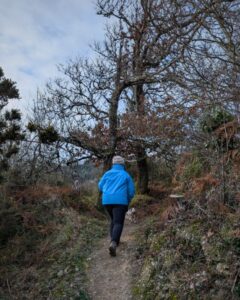 Photo of a woman walking along a footpath in winter surrounded by trees and bracken.