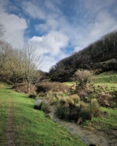 A steep sided valley with trees and a stream running through it and a footpath to the left.