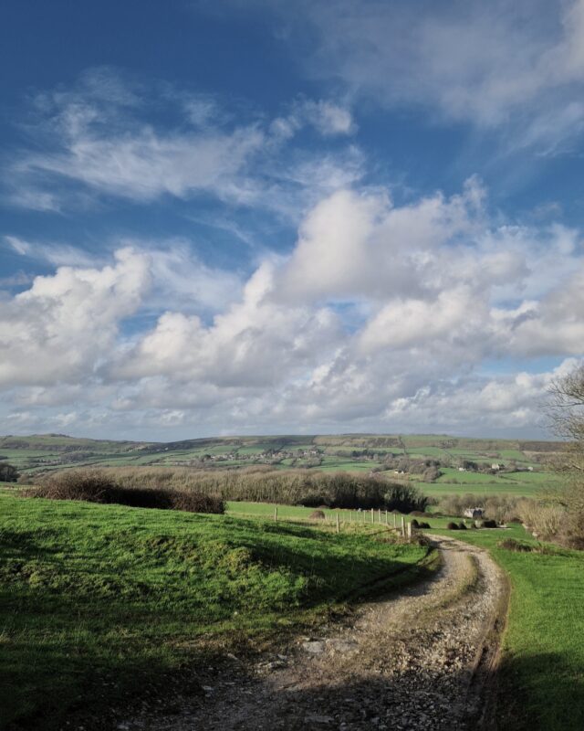 A footpath winds off into the distance over green fields and bare trees in winter under a blue sky.
