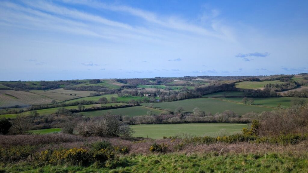 View over patchwork fields in Dorset