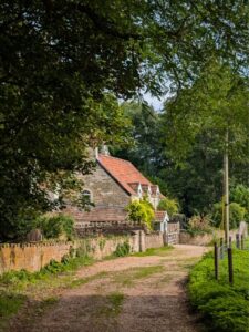 A secluded cottage half hidden behind trees on a dusty country path