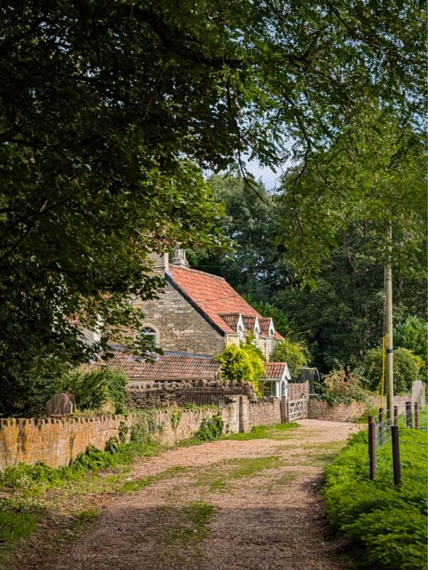 A secluded cottage half hidden behind trees on a dusty country path