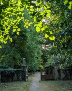 A stone wall with an open wooden gate. A footpath leads through the gate into a wooded area.