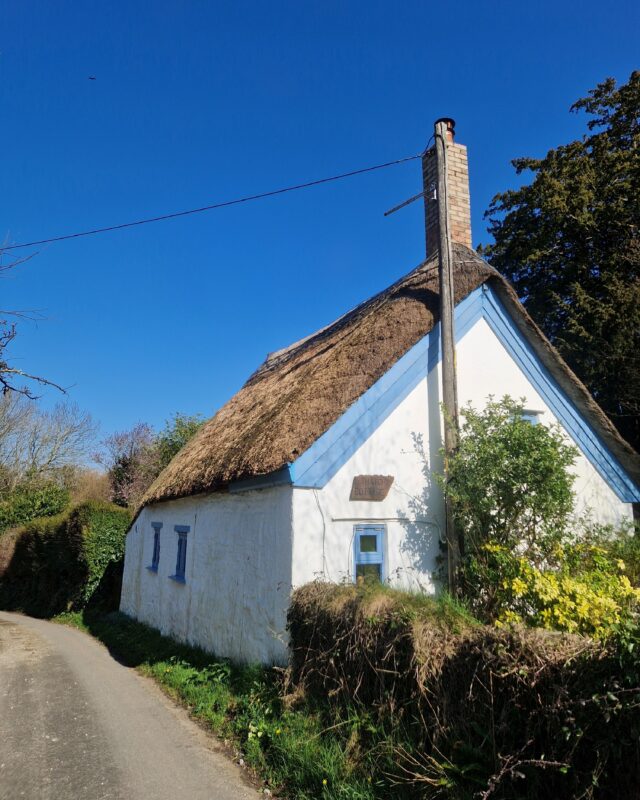 A traditional white cottage with a thatched roof next to a quiet lane.