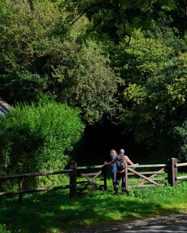 Two hikers walking through a wooden gate into woodland.