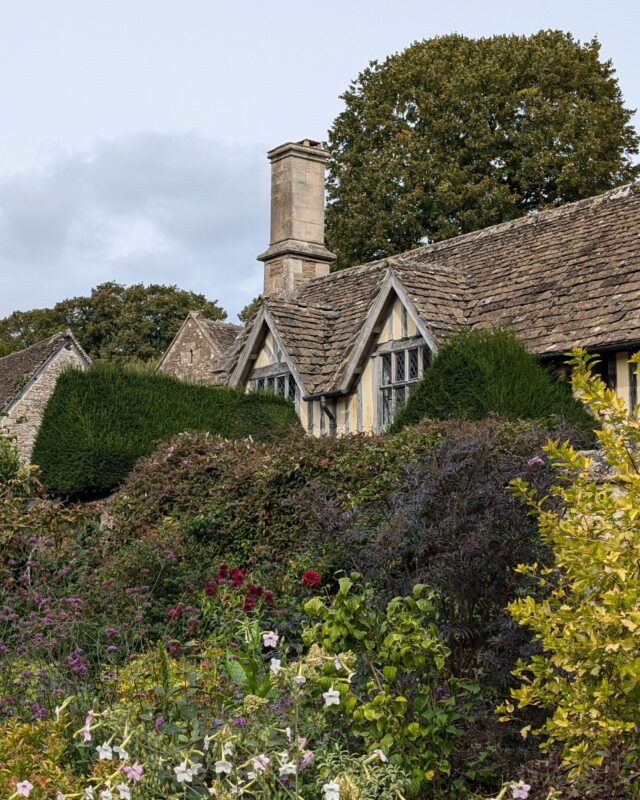 A traditional cottage slate roof peaking up above hedges and plants in a landscaped garden.