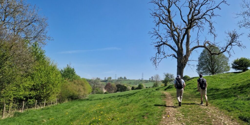 Two walkers stroll along a footpath in spring under the leafless branches of a tree.