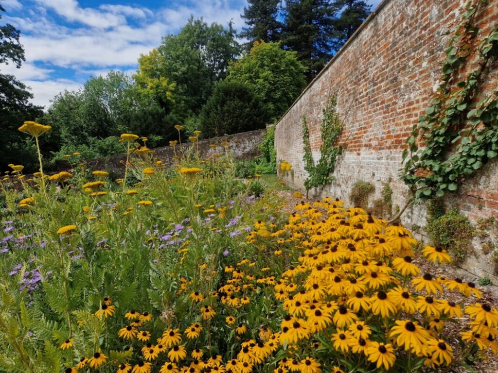 A traditional kitchen garden full of bright flowers.