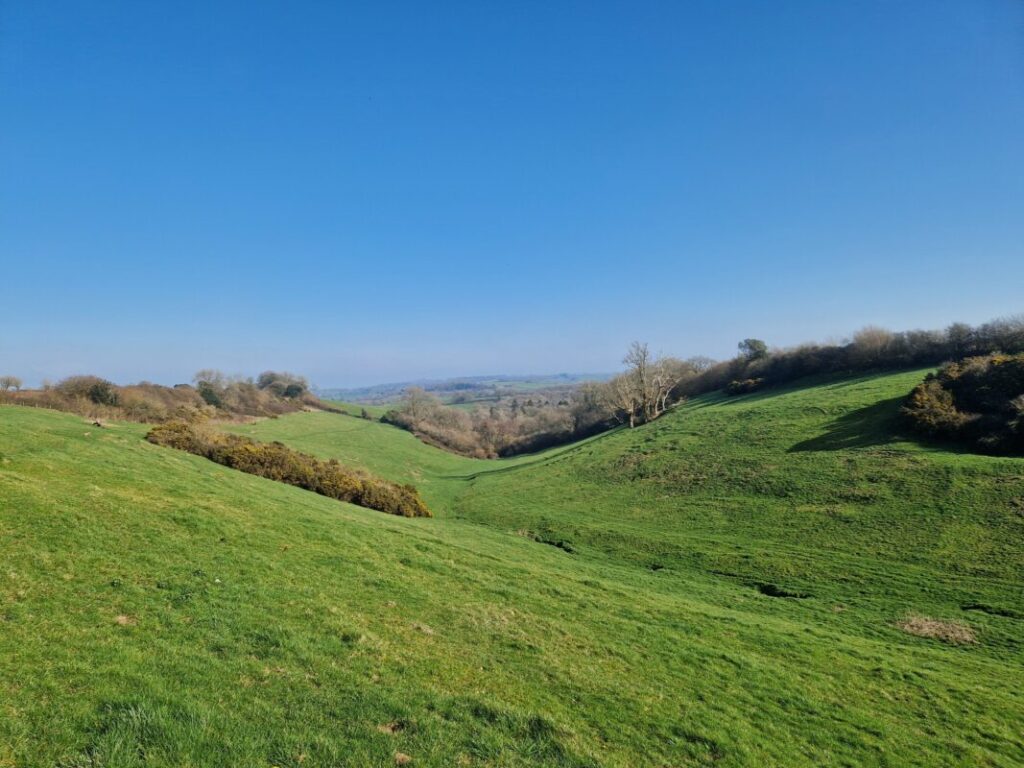 View down a lush green valley on a bright spring day.