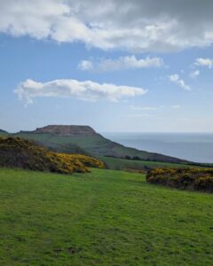 A view of the highest cliff on the Dorset coast with green fields in the foreground and the sea in the distance on the left.