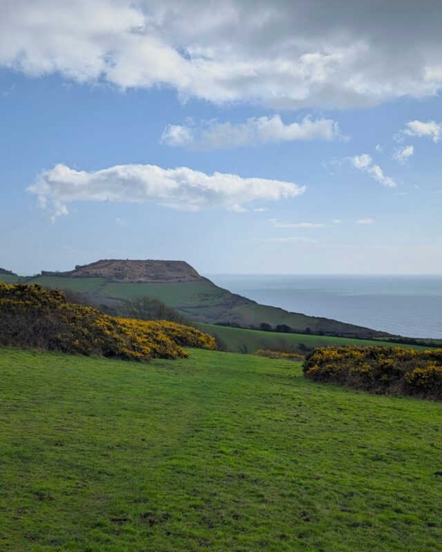 A view of the highest cliff on the Dorset coast with green fields in the foreground and the sea in the distance on the left.