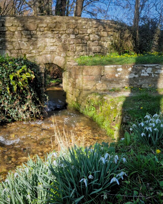 An old stone bridge over a small clear stream with snowdrops on the bank in the foreground.