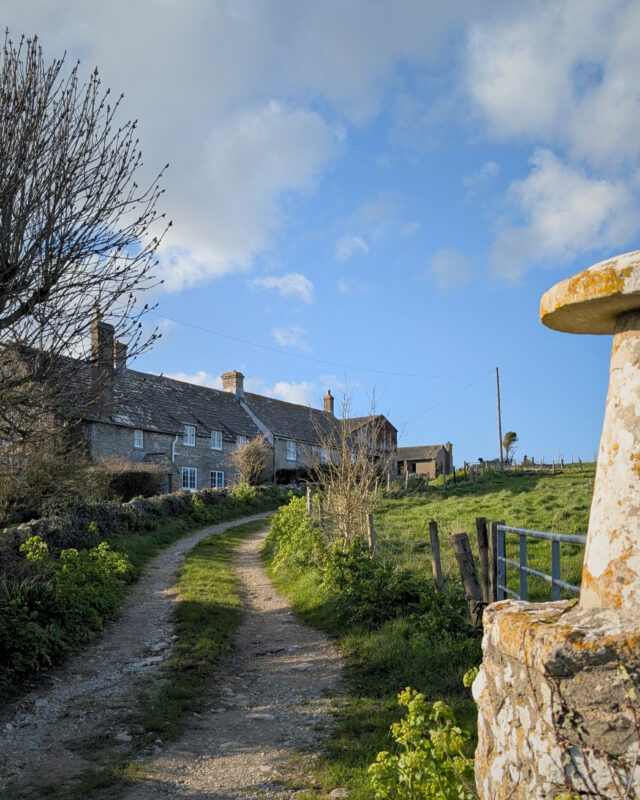 A gravel track winds its way past a row of old stone cottages and a staddle stone.