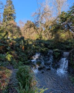 View of a waterfall and river surrounded by trees and shrubs