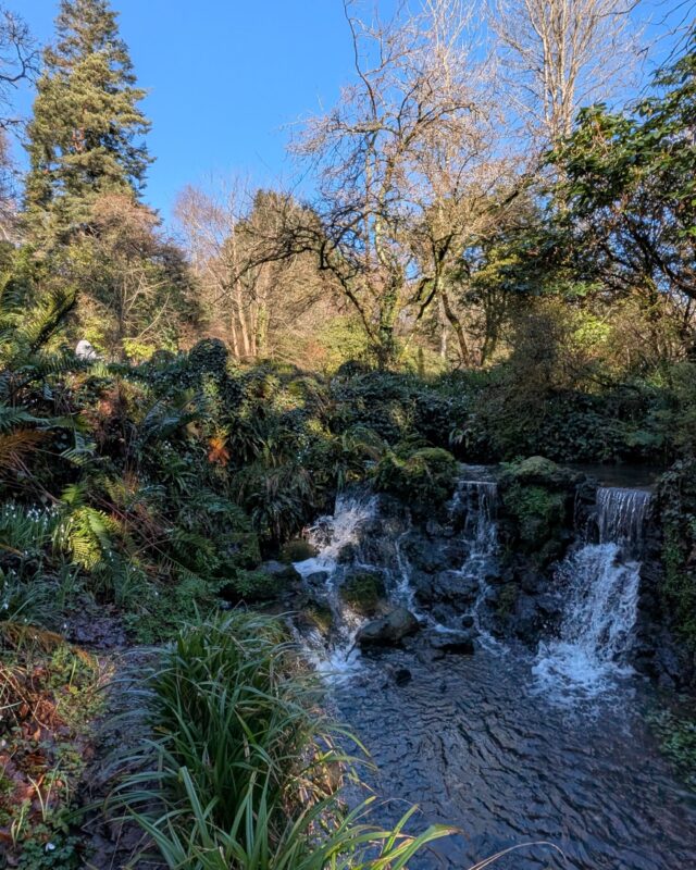 View of a waterfall and river surrounded by trees and shrubs