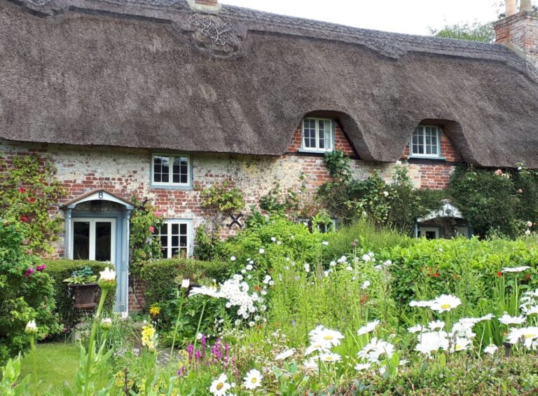 An old thatched cottage with a blue door partially hidden behind flowers growing in the front cottage garden.