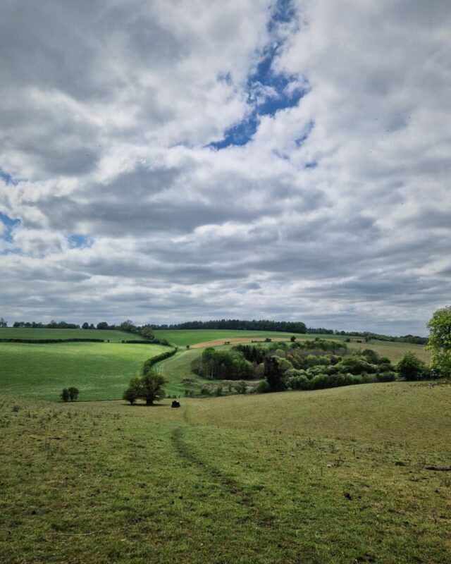 A footpath threads its way through rolling Cotswolds fields.