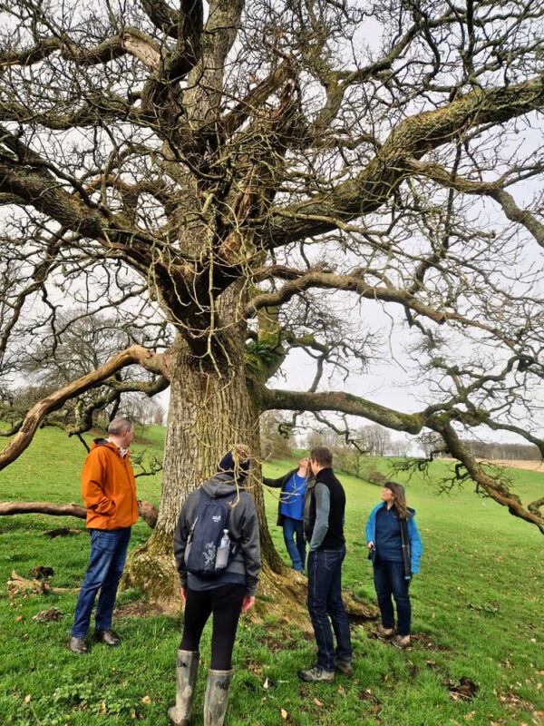 The Foot Trails team standing around an old tree in the counrtyside.