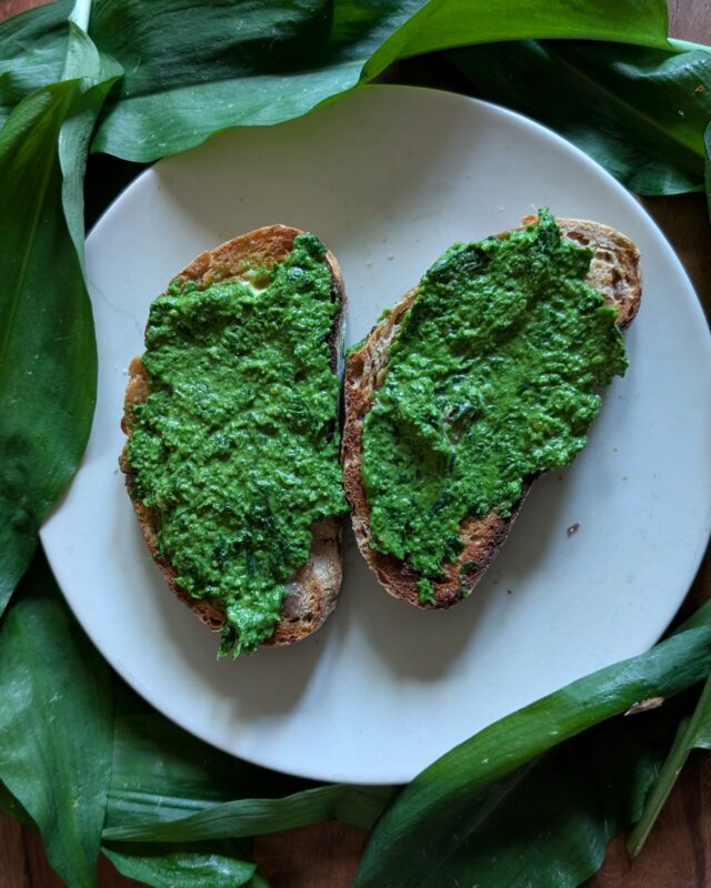 Two slices of sourdough bread with wild garlic pesto spread on top.