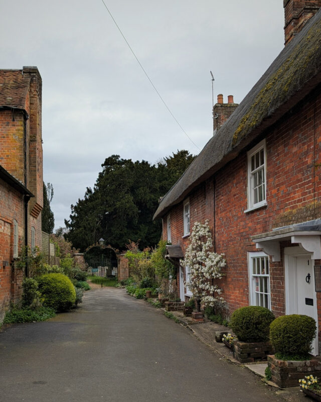 A quiet lane leading through a village with old stone thatched cottages on, hedges and flowers on either side of the lane.