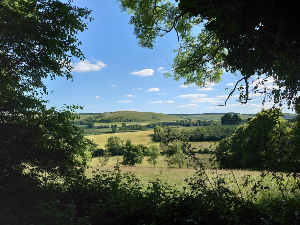 View over rolling green countryside of fields separated by trees and hedgerows.