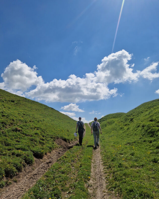 Two hikers walk along a country track through hills on a bright spring day