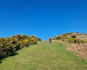 A lone hiker walks towards the top of an Iron Age hillfort on a bright spring day