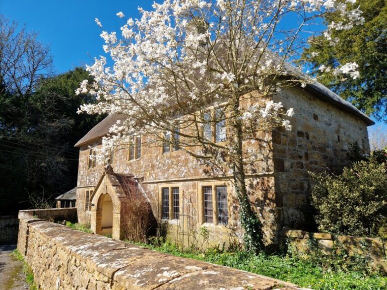 A beautiful yellow stone cottage partially covered by a tree in full spring blossom.