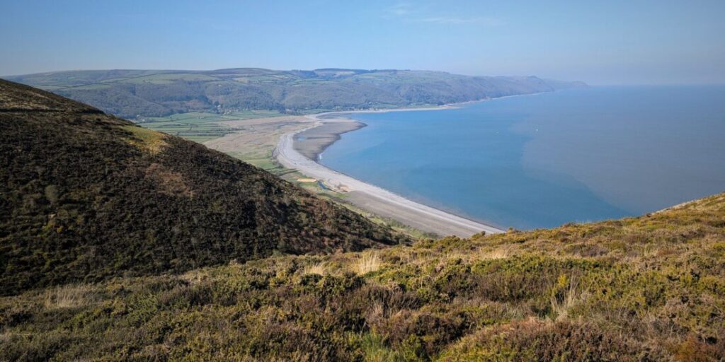 View of the Exmoor coast from a cliff top, showing rolling hills covered in gorse, a long pebble beach and the sea stretching off into the distance.