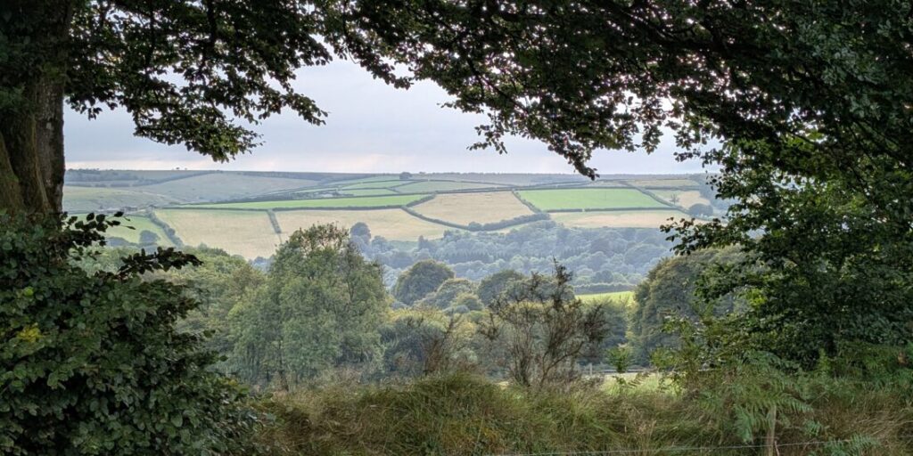 View of the Exmoor countryside with a patchwork of green fields and trees stretching off into the distance.