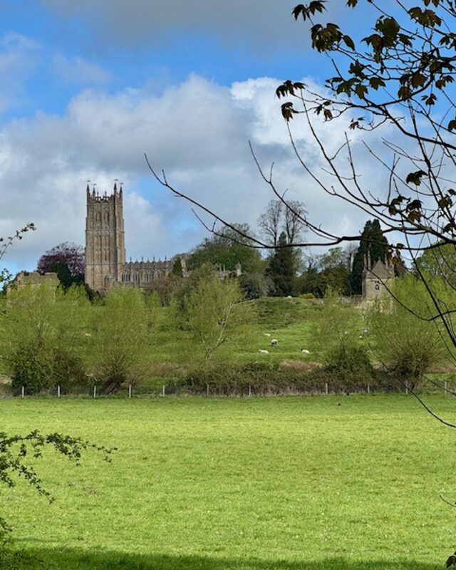 View of a Cotswolds' church on top of a hill with sheep and trees in the foreground