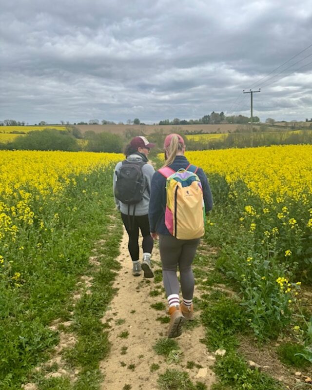 Photo of a group of hikers from behind walking through a field of yellow rapeseed floweres