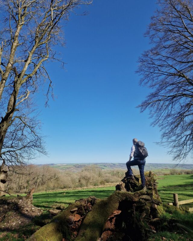 A lone hiker standing on a tree stump looking out over fields and trees below