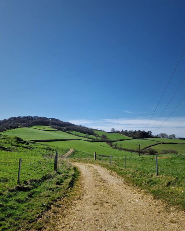 View of the Dorset countryside on a bright spring day. A footpath wends its way through rolling green farmland to a wooded hill in the distance.
