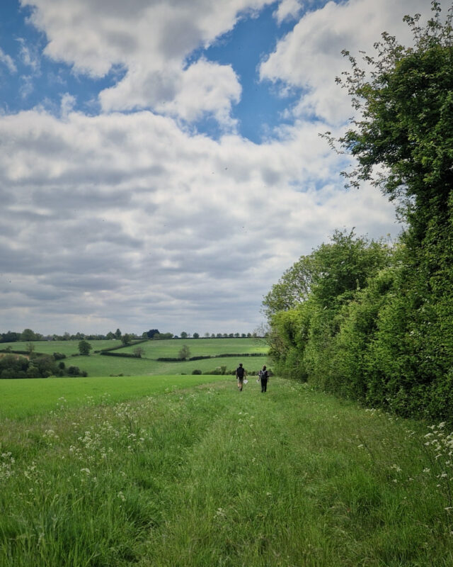 Two figures walk over a field flanked by a hedge on the right hand side.