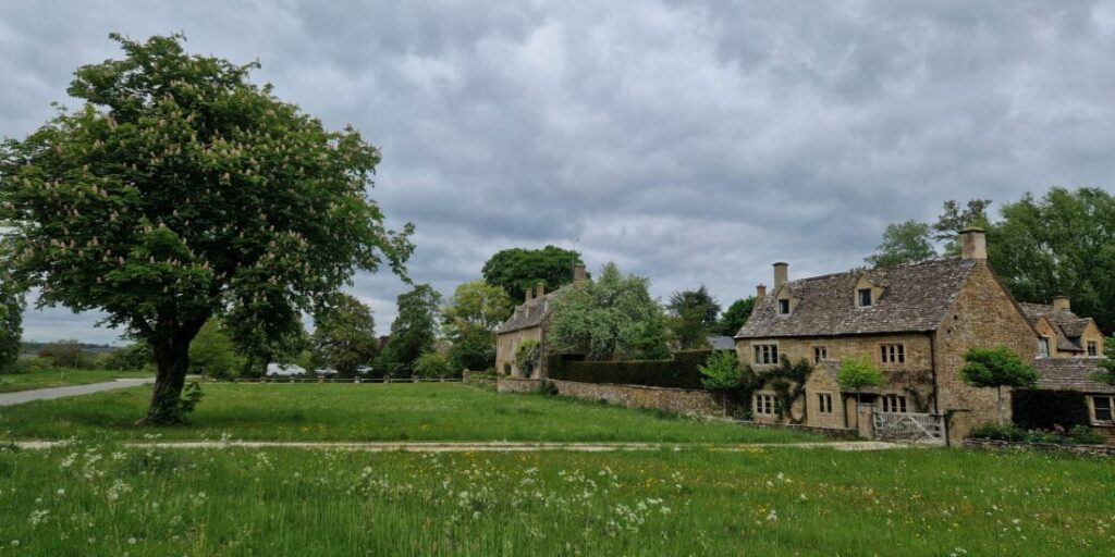 Photo of a Cotswolds stone cottage with a village green and a chestnut tree in bloom in front of it.