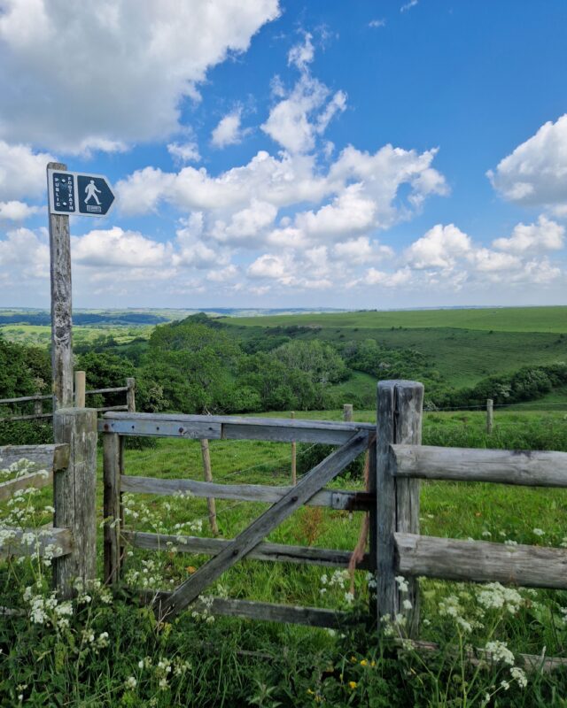 A wooden gate leads into a field with a footpath waymarker next to it. Beyond the gate, the hills stretch out offering a beautiful view over green countryside.