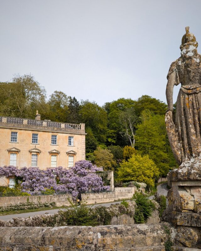 View of a country house from an old stone bridge with a statue of Britannia to the right. Swathes of purple wisteria cascade over the fence and wall of the country house.