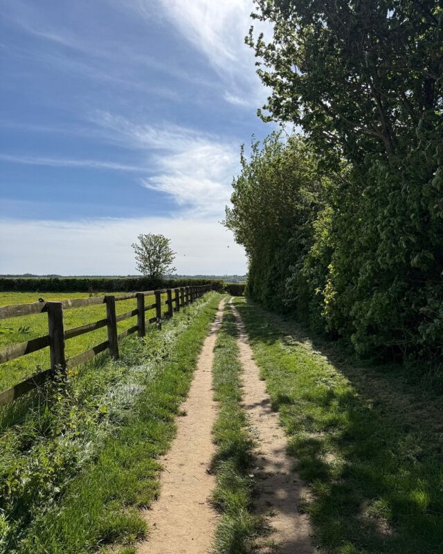 A footpath stretching off into the distance with trees on the right and a wooden fence on the left