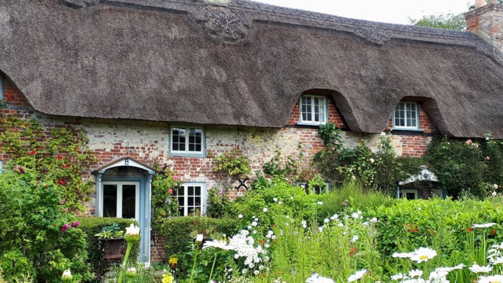 An old thatched cottage with a blue door partially hidden behind flowers growing in the front cottage garden.