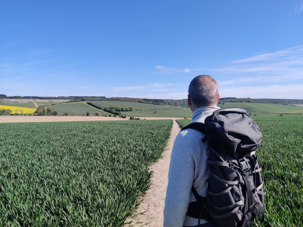 A lone hiker stands on a footpath in an agricultural field looking off into the distance with their back to the camera