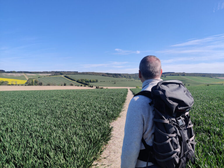 A lone hiker stands on a footpath in an agricultural field looking off into the distance with their back to the camera