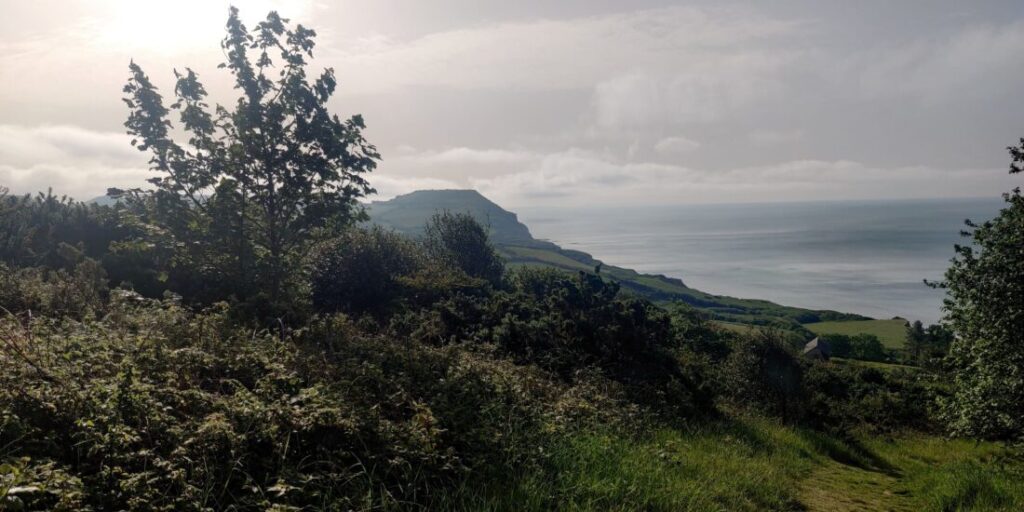 View of the Dorset coast with Golden Cap in the distance and the blue sea to the right.
