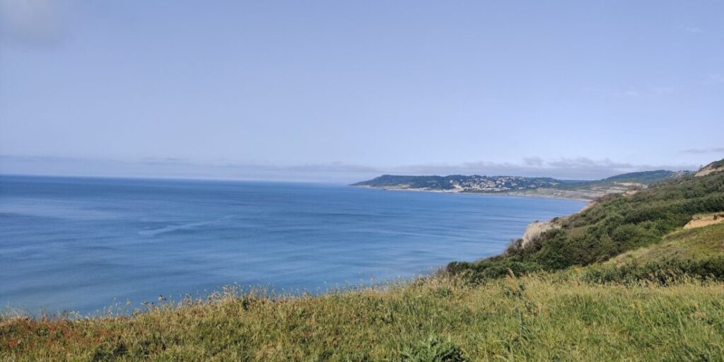 View of the Dorset coast curving off to the right with the blue sea and sky to the leftl