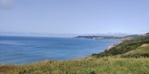 View of the Dorset coast curving off to the right with the blue sea and sky to the leftl