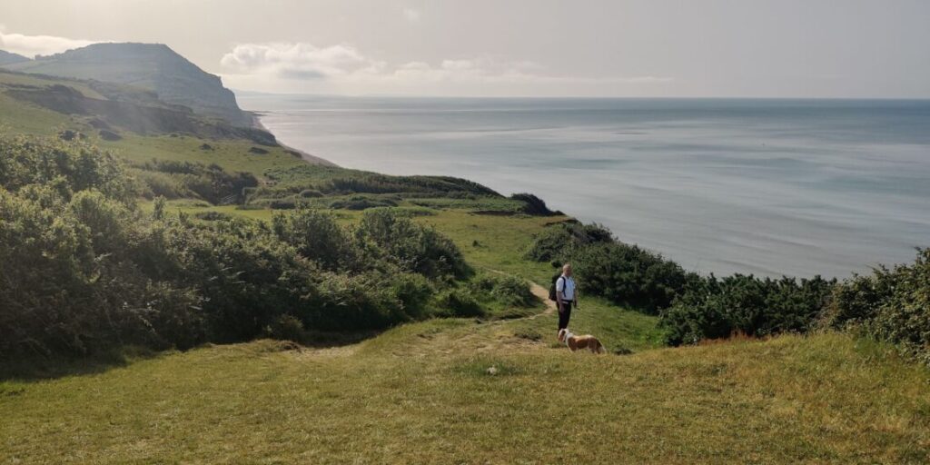 View of the Dorset coast with Golden cap in the distance and a footpath winding through a field and trees in the foreground. A hiker with his dog is looking back at the camera.