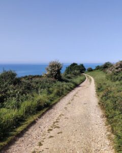 View of a gravel track stretching off into the distance with the blue sea shimmering in the background.